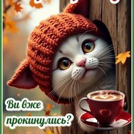 andriy.lysak1973@gmail.com